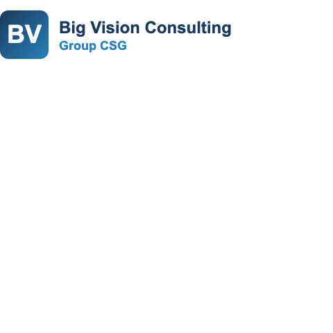 Big Vision Consulting Group CSG